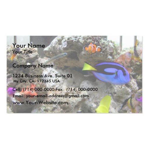 Nemo With His Gang Business Card (front side)