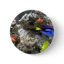 Nemo With His Gang Pins