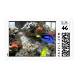 Nemo With His Gang Stamps