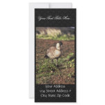 Nene Goose (Hawaiian goose) Custom Rack Cards