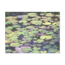 nenhu postcards