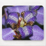 Neomarica Mouse Pads