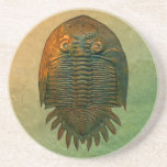 Neometacanthus Fossil Trilobite Drink Coaster