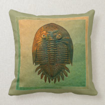 Neometacanthus Fossil Trilobite pillows