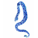 neon, blue, snake, cute, cutie, hot, hottie,