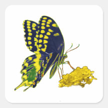 Neon Butterfly Stickers