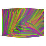 Neon Colors with Tree 3-Ring Binder
