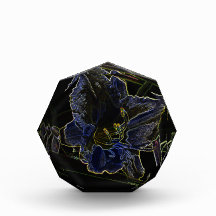 Neon Glow Daylily Flower with Glowing Edges Awards