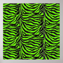 Zebra And Green