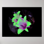 Neon Lilies Photograph Poster / Pring