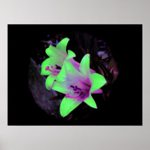 Neon Lilies Photograph Poster / Pring
