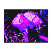 Neon Mushroom postcards by GingerBarritt Neon Mushroom postcards