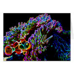 Neon Nemo Card