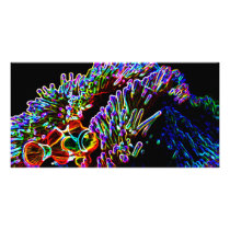 Neon Nemo photo cards