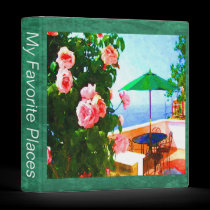 Neon Patio Binder binders
