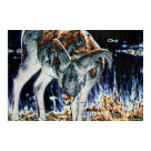 postcard - 