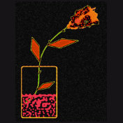 Neon Rose