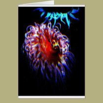Neon Sea Anemones cards