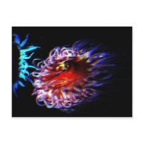 Neon Sea Anemones Post Card