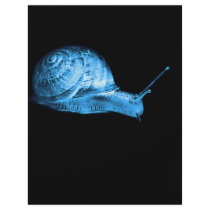 Neon snail flyer