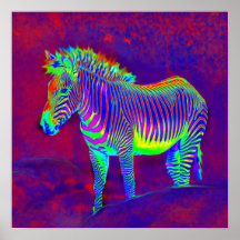 neon zebra print