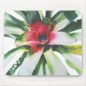 Neoregelia mousepads
