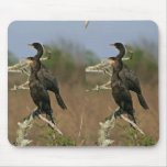 Neotropic cormorant mouse pad