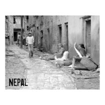 Nepal Poster posters