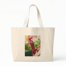 Nepenthes muluensis Pitcher bags