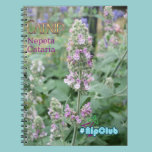 Nepeta Cataria Catnip flower Notebook for Nipclub notebooks