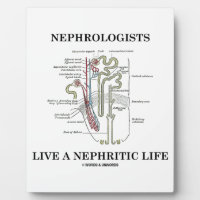 Nephrologists Live A Nephritic Life (Nephron) Display Plaque