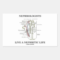 Nephrologists Live A Nephritic Life (Nephron) Rectangular Sticker