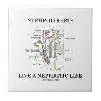 Nephrologists Live A Nephritic Life (Nephron) Small Square Tile