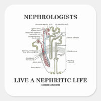 Nephrologists Live A Nephritic Life (Nephron) Square Sticker