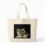 Nephry bags