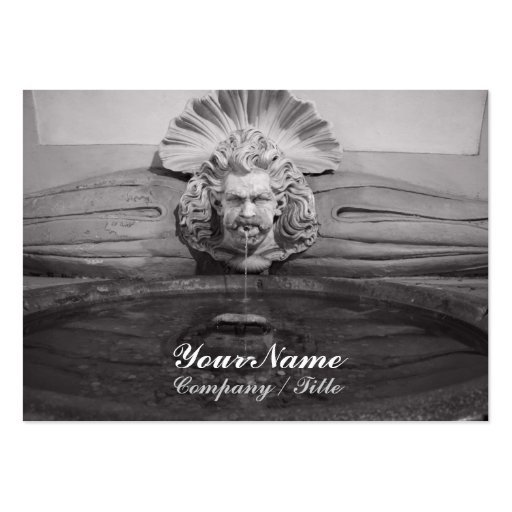 Neptune Drinking Fountain Business Cards (front side)