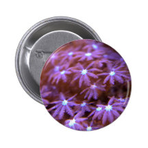 Neptunes Bouquet 2 Buttons