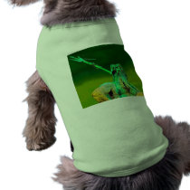 Neptunes Fountain, Alexanderplatz, Berlin(n2b) Dog Tee