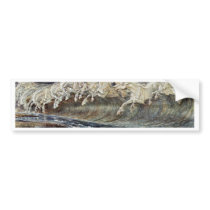 Neptune'S Horses By Crane Walter Bumper Sticker