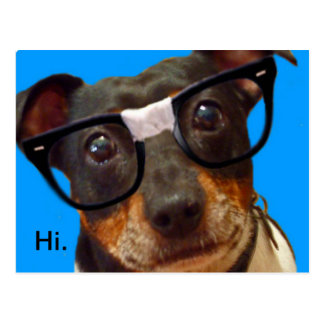 nerdy_dog_logo_postcard-r3ded3c3f0e7b4af4bf5e210e56b229a6_vgbaq_8byvr_324.jpg