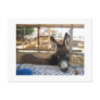 Nerja Donkey Sanctuary Postcards