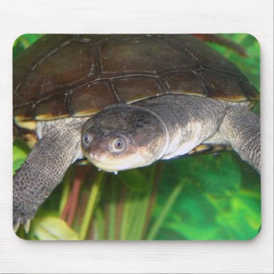 Nessie Mouse Mat by dduhaime55