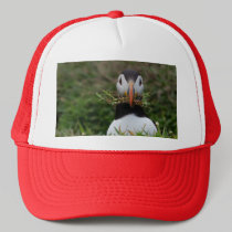 Nest Builder Puffin hats