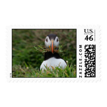 Nest Builder Puffin Postage Stamps