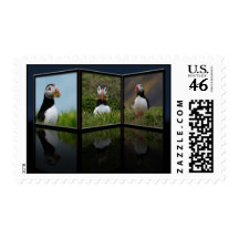 Nest Building Puffin Postage