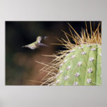 Nest Maker Print