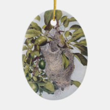 Nest of Baltimore Oriole Ornaments