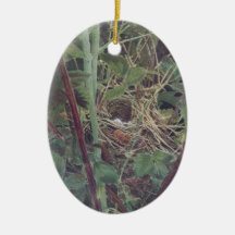 Nest of the Maryland Yellow-Throat Christmas Tree Ornament