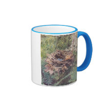 Nest of Wilson's Thrush Mugs