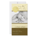 Nesting Bird + Family *4 New Baby Photo Card photo cards
